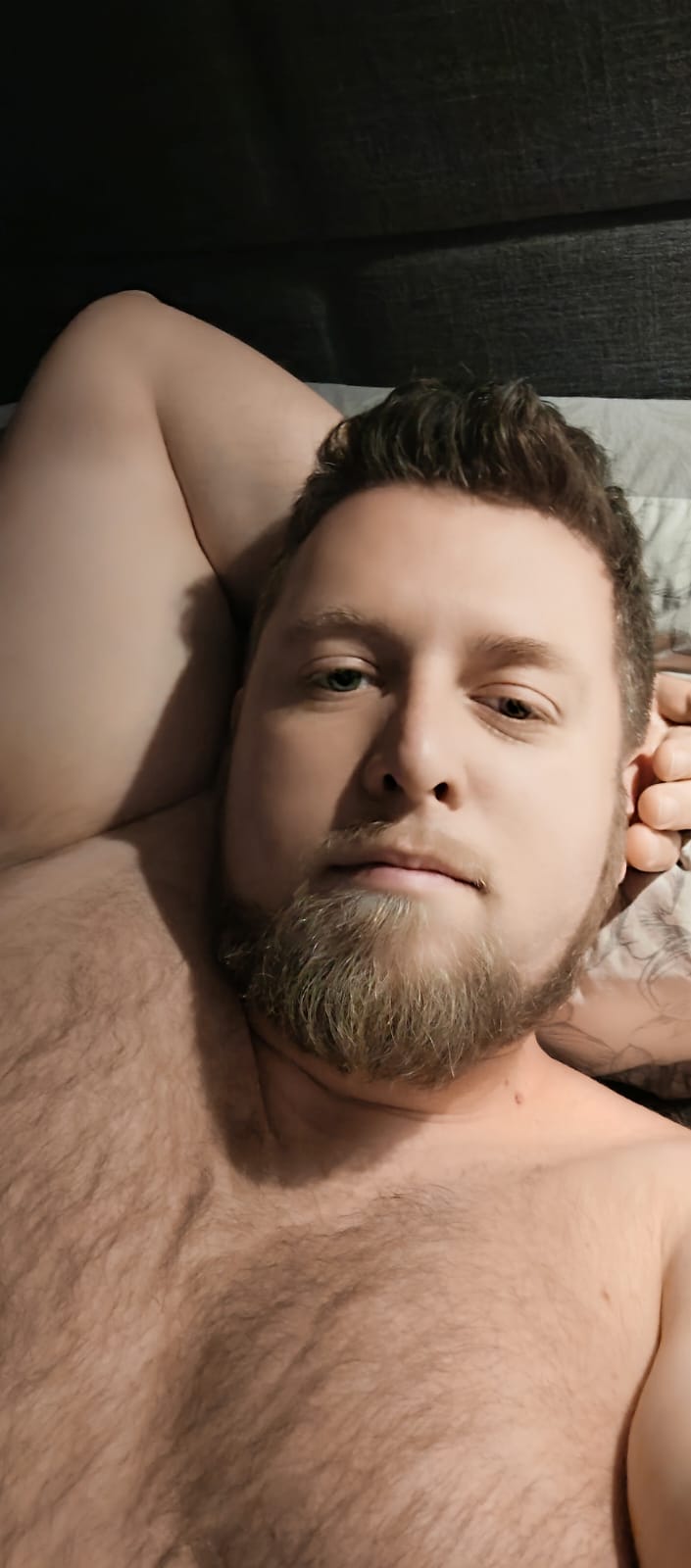 Perfil de Saint-aime